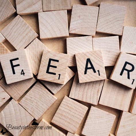 It’s ok to have fears. We all have them. But don’t let them cripple you. Life Milestones, Prayer For The Day, Retirement Income, Simple App, Truth Of Life, Budget Planning, Ask For Help, Life Purpose, Motivate Yourself