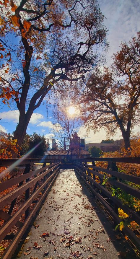 Chico State Aesthetic, Boise State University Aesthetic, Chico State University, 2024 Prayer, College Core, Chico State, College Things, Boise State University, California State University