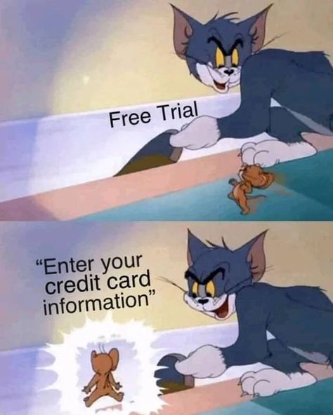 Tom And Jerry Meme, Jerry Meme, Tom Meme, Tom And Jerry Funny, Tom And Jerry Memes, What Meme, Rainbow Six Siege Memes, Funny Tom, Funny Memes Images