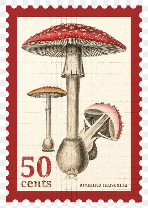 Vintage Stamps Aesthetic, Mushroom Transparent Background, Mushroom Png Aesthetic, Printables For Scrapbooking, Stamp Png Aesthetic, Aesthetic Stamp Stickers, Vintage Stamps Printable, Aesthetic Stamps, Stamps Aesthetic