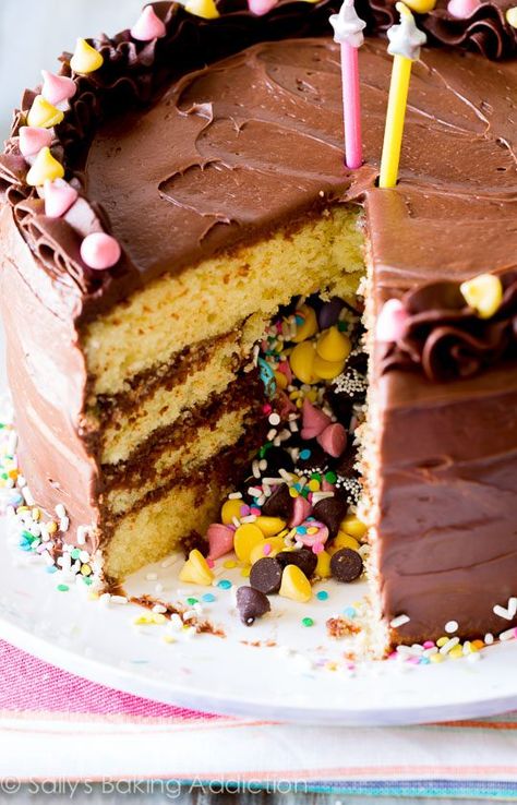 Pinata Cake Recipe, Funfetti Cake Pops, Easy Birthday Cake Recipes, Piñata Cake, Sallys Baking, Smores Cake, Pinata Cake, Waffle Cake, Sally's Baking