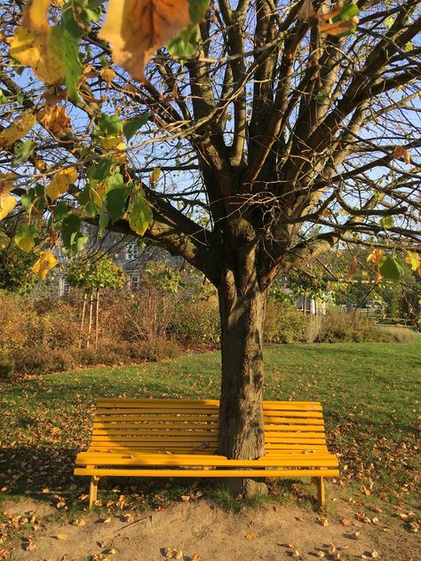 Bench In Forest, Bench Around Trees, Park Benches, Village Shop, Night Messages, Good Night Messages, Gravity Falls, Park Bench, Alice In Wonderland