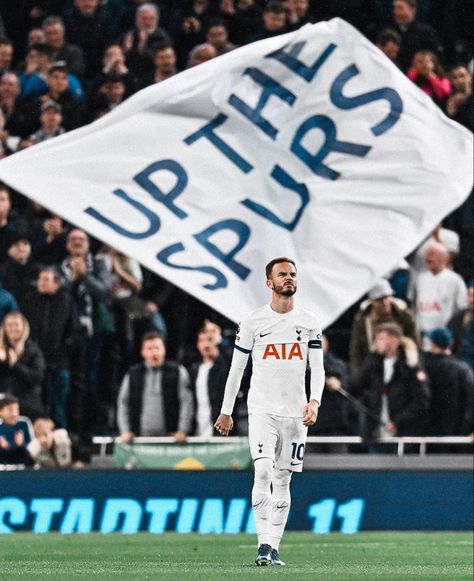 Tottenham Hotspur Wallpaper, Tottenham Football, James Maddison, Spurs Fans, Funny Good Morning Quotes, Tottenham Hotspur Fc, Tottenham Hotspur, Football Club, Football Players