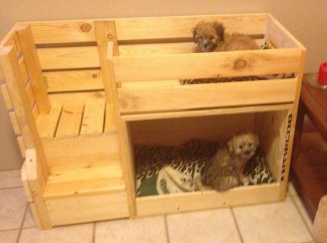 Doggie bunk beds Dog Bed Inspiration, Pet Bunk Bed, Dog Bunk Beds, Pet Diy Projects, Wooden Dog Bed, Pallet Dog Beds, Beds Diy, Pet Diy, Diy Dog Kennel