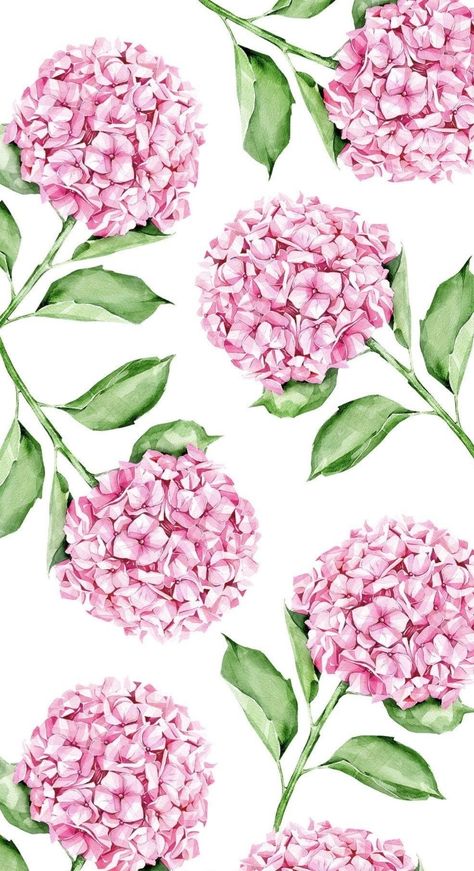 Hydrangea Wallpaper, Iphone Ideas, Botanical Flower Art, Iphone Xs Case, Wallpaper Cute, Design Illustrations, Xs Case, Phone Wallpaper Patterns, Flower Background Wallpaper