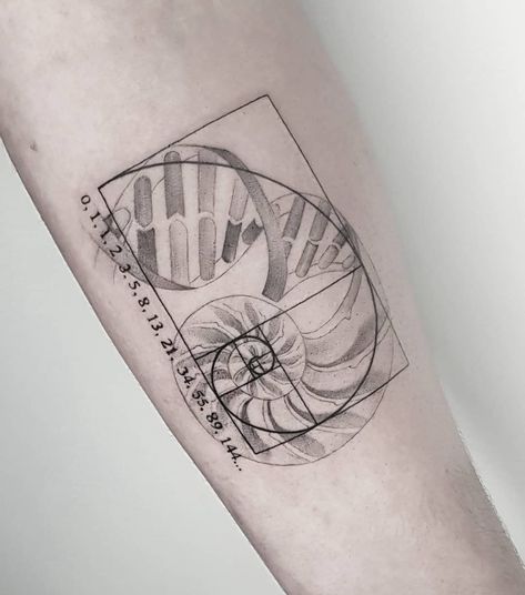 Fibonacci Shell Tattoo, Fibanocci Tattoos, Fibonacci Tattoo Golden Ratio, Fibonacci Tattoos, Fibbonaci Tattoo, Dna Tattoo Ideas, Golden Spiral Tattoo, Fibonacci Spiral Tattoo, Golden Ratio Tattoo