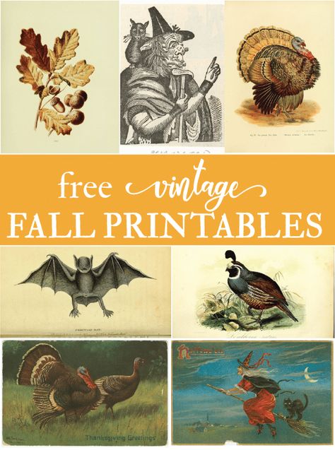 Vintage Fall Images, Farmhouse Build, Free Fall Printables, Vintage Fall Decor, Decorating For Fall, Free Printable Crafts, Thanksgiving Images, Fall Images, Free Printable Art