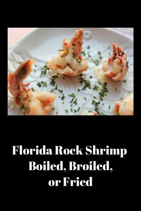 Florida Rock Shrimp Boiled, Broiled, or Fried Rock Shrimp Recipe, Shrimp Cooking, Florida Party, Rock Shrimp, Florida Recipes, Bisque Recipe, Shrimp Alfredo, Tropical Food, Florida Food