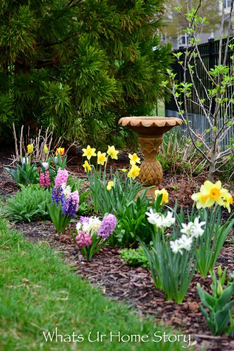 Tulip Landscaping, Cottage Garden Bed, Flower Aesthetic Tulip, Hyacinths Garden, Tulip Aesthetic, Flowers Pansies, Spring Bulbs Garden, Garden Peonies, Daffodils Flowers