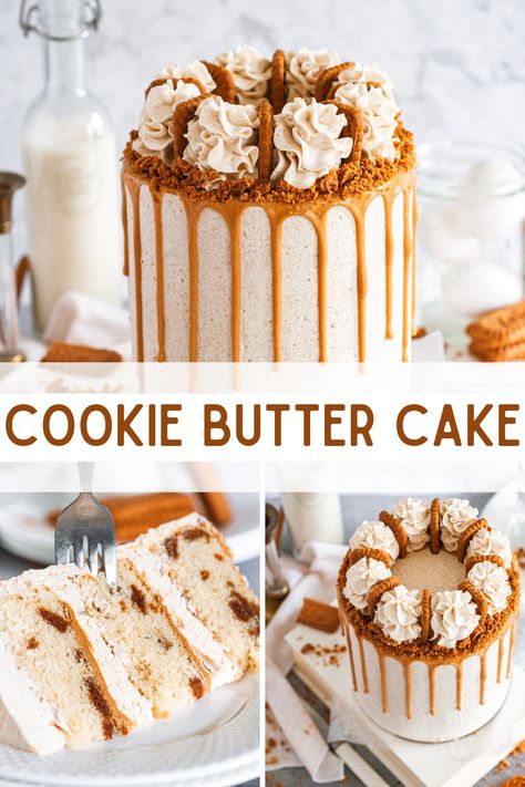 The most amazing biscoff cookie butter cake! Biscoff Baking Recipes, Cookie Butter Filling, Biscoff Cookie Butter Cake, Cookie Butter Cake Recipes, Cookie Buttercream Frosting, Biscoff Cake Recipe, Light Vanilla Cake, Cake Flavor Ideas, Cake Flavors And Fillings