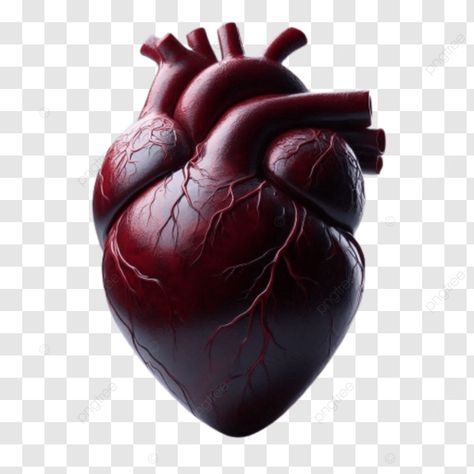 illustration of a human heart on black background   medical concept illustration of a human heart Heart Transparent Background, Transparent Illustration, A Human Heart, Background Medical, Medical Background, Concept Illustration, Human Heart, Collage Maker, Heart On