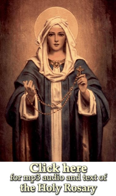 Free Mp3 audio downloads of all the mysteries of the Holy Rosary of the Blessed Virgin Mary with text Spoken word, Beautifully produced, meditative. Immaculate Mary, Blessed Mary, Mama Mary, Religious Pictures, Queen Of Heaven, Praying The Rosary, Holy Rosary, Mary Magdalene, San Michele