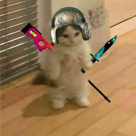 Csgo cag pfp Standoff 2 Pfp, Csgo Pfps, Csgo Profile Picture, Counter Strike Aesthetic, Gaming Cat Pfp, Pfp For Gaming, Steam Avatar Aesthetic, Gamer Cat Pfp, Cs Go Avatar