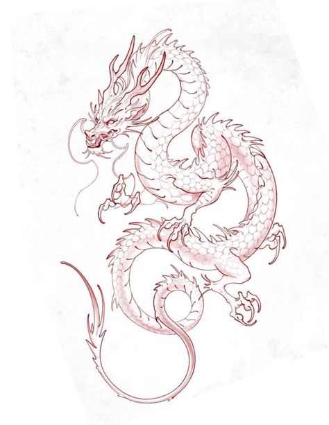 Asian Dragon Drawing, Dragon Tattoo Outline, Dragon Tattoo Stencil, Chinese Dragon Drawing, Japanese Dragon Drawing, Asian Dragon Tattoo, Dragon Tattoo Sketch, Chinese Dragon Tattoos, Ear Tattoo Ideas