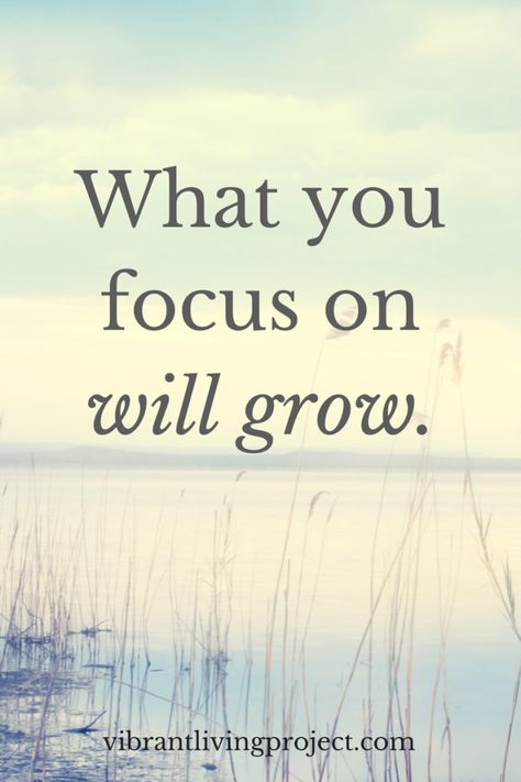 Die To Self, Focus Quotes, Focus On Me, Great Quotes, Focus On, Inspirational Words, Want You, Wise Words, Anger