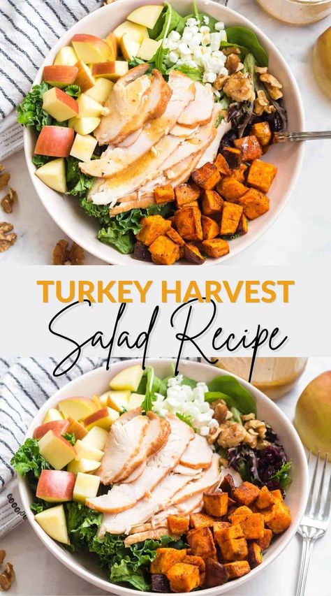 Turkey Harvest Salad Recipe Apple Cider Vinaigrette Dressing, Cider Vinaigrette Dressing, Fall Salad Recipes, Harvest Salad Recipes, Turkey Salad Recipe, Apple Cider Vinaigrette, Autumn Salad Recipes, Winter Salad Recipes, Cider Vinaigrette