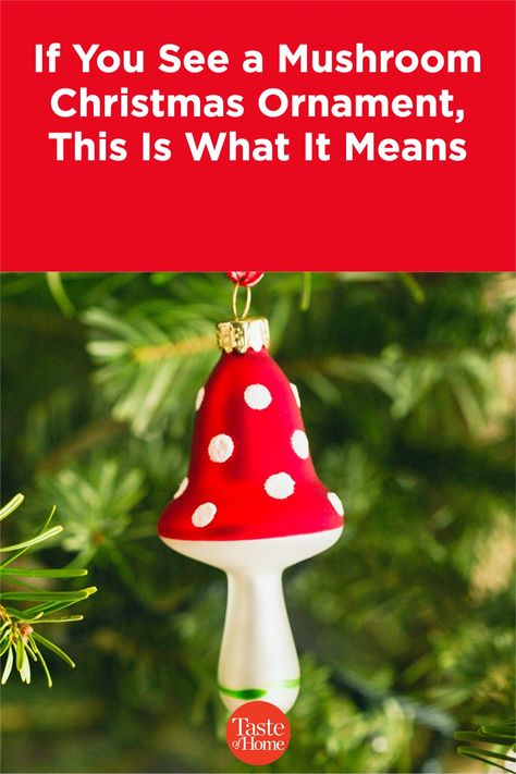 The Christmas mushroom could be your new good luck charm! Learn how this fungus made its way into Christmastime. Mushroom Christmas Tree Decoration, Christmas Tree Mushrooms, Clay Mushroom Ornament, Diy Funny Ornaments, Mushrooms Decor, Christmas Mushrooms Decoration, Mushroom Ornaments Diy, Diy Mushroom Ornaments, Christmas Mushrooms