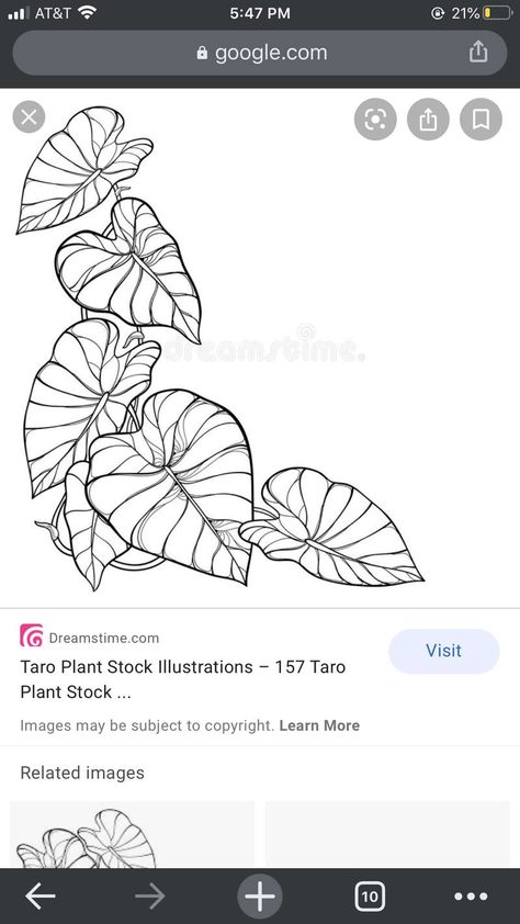 Elephant Ears Plants Tattoo, Taro Leaf Tattoo, Elephant Ear Plant Tattoo, Elephant Ear Tattoo, Alocasia Tattoo, Jungle Boys Room, Elephant Plant, Farm Logo Design, Plant Doodle