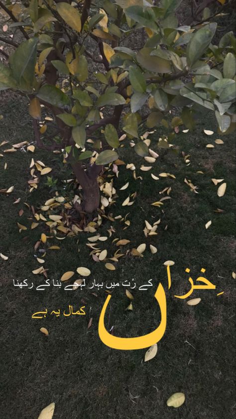 Aesthetic autumn vibes. Urdu poetry with nature Aesthetic Nature Quotes Poetry, Urdu Aesthetic Words, Urdu Lines For Caption, Aesthetic Poetry In Urdu, Aesthetic Urdu Lines, Aesthetic Urdu Quotes, Autumn Quotes Aesthetic, Urdu Poetry Aesthetic, Natural Disasters For Kids