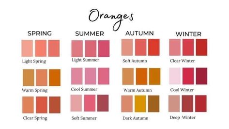 Color Season Palette, 12 Color Seasons, Season Palette, True Winter Color Palette, Deep Autumn Palette, Color Analysis Summer, Light Summer Color Palette, Deep Winter Palette, Deep Autumn Color Palette