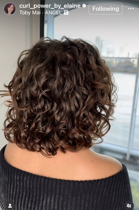 Short Brown Curly Hairstyles, Spiral Perm Shoulder Length Hair, 2c Bob Haircut, Dark Brown Short Curly Hair, Curly Brown Bob, Medium Length Brown Curly Hair, Short Round Curly Hair, Shoulder Length Haircut Curly, Short Curly Hair With Bangs And Layers