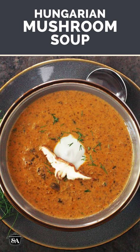 Overhead view of Hungarian Mushroom Soup in a bowl. Hungarian Mushroom, Thanksgiving Soups, Mushroom Bisque, Hungarian Mushroom Soup, Mushroom Soup Recipes, Homemade Soup Recipe, Dried Mushrooms, Comfort Soup, Cheap Dinner Recipes