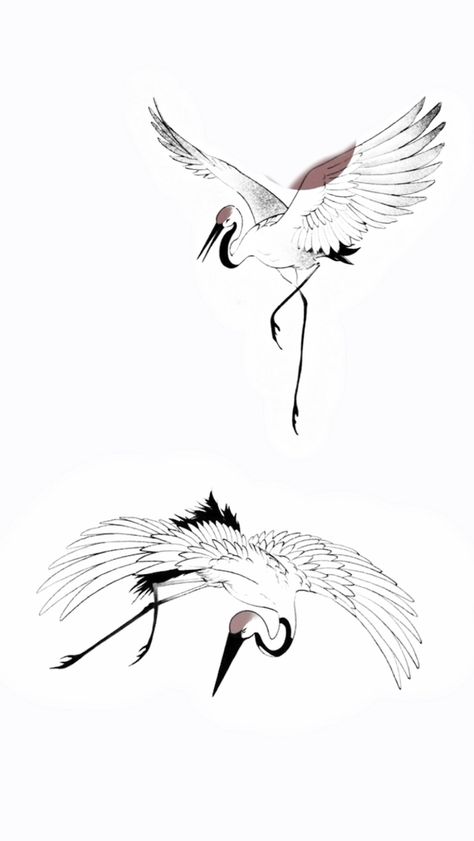 White Heron Tattoo, Dancing Crane Tattoo, Sandhill Crane Tattoo, Crane Sketch, Ribs Tattoos, Crane Drawing, Heron Tattoo, Bird Tattoo Back, Crane Tattoo