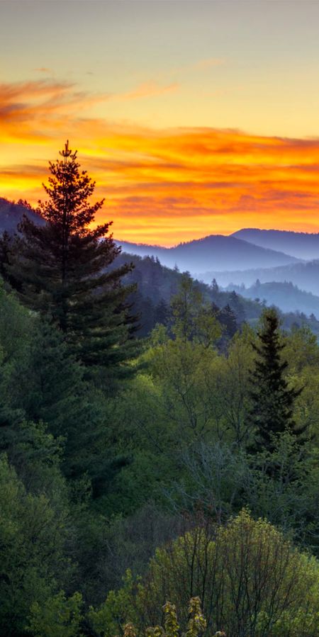 Great Smoky Mountains National Park on the Tennessee/North Carolina border | Dave Allen on Flickr Wool Painting, Wallpaper Winter, Sun Rise, Pretty Pics, Watercolor Ideas, California Art, Great Smoky Mountains National Park, Smoky Mountain, Smoky Mountain National Park