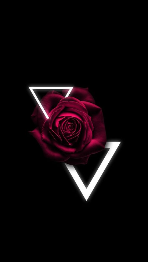 Shiny Wallpaper, Iphone Wallpaper Music, Gothic Photography, Wallpaper Rose, Red And Black Wallpaper, Red Roses Wallpaper, Flower Logo Design, Pretty Phone Wallpaper, 8x10 Art Prints