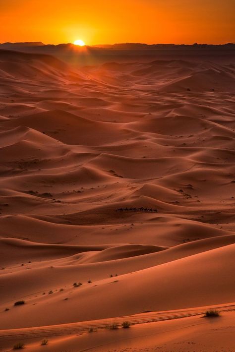 The sun setting over the Sahara desert in Morocco. Aesthetic Image, Desert Aesthetic, Sun Aesthetic, Desert Photography, Desert Dream, Desert Sun, Image Nature, Desert Vibes, Desert Sunset