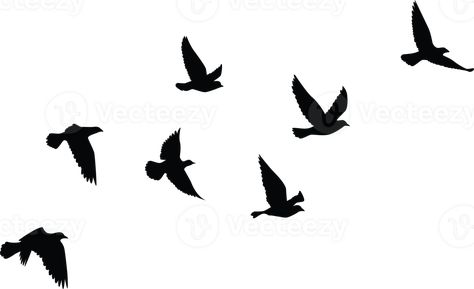 Birds Flying Silhouette Tattoo, Birds Flying Drawing, Birds Flying Png, Birds Silhouette Flying, Tattoo Design Template, Birds Flying Silhouette, Bird Flying Tattoo, Flying Bird Drawing, Bird Stencils