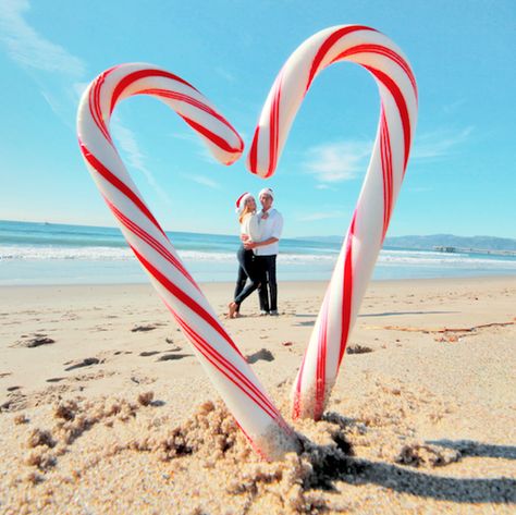 Christmas Photo On Beach, Florida Christmas Family Photos, Christmas Photoshoot At The Beach, Holiday Picture Ideas Family, Christmas Family Photos On The Beach, Funny Beach Christmas Photos, Christmas Photos At The Beach, Christmas Pics On The Beach, Lake Christmas Picture Ideas