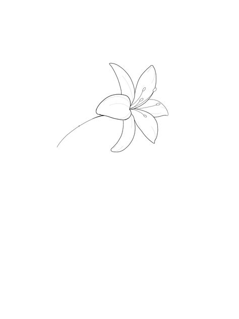 Lilly Tattoo Small Simple, Simple Lilly Tattoo Design, Lily Flower Simple Drawing, Minimalistic Lily Tattoo, Small Lily Flower Tattoo Simple, Flower Without Stem Tattoo, Lily Flower Tattoos Minimalist, Minimal Lily Flower Tattoo, Mini Lily Tattoo