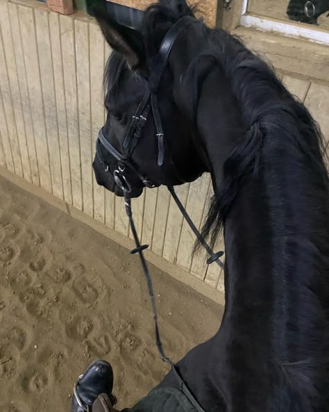 Horseback Riding Aesthetic, Riding Aesthetic, Horse Riding Aesthetic, Horsey Life, Horse Story, Equestrian Aesthetic, Black Horses, Horse Aesthetic, Wild Heart