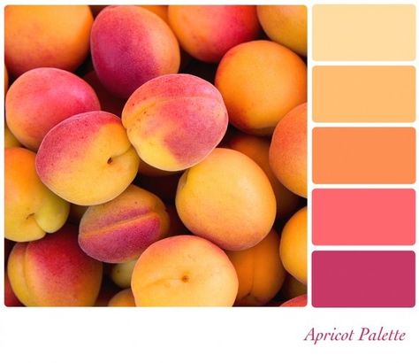 Colors that go with apricot Orange Color Schemes, Color Dream, Color Palate, Design Seeds, Trik Fotografi, Colour Board, Colour Schemes, Color Pallets, Color Swatches