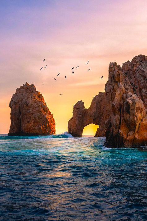 Cabo San Lucas, Mexico | Reachable by water taxi, El Arco or The Arch, will enchant you. Here, impressive arches naturally formed from rock frame white-sand beaches and crystal-blue waters. Snap a pic of the arch, and catch a glimpse of the sea lions that often pop up to get some sun on the rock formations. Arco Cabo San Lucas, Rock Frame, Mexico Cabo San Lucas, Ocean Waves Photography, Royal Caribbean Cruises, Water Taxi, Mexico Cruise, Sea Of Cortez, Cabo Mexico