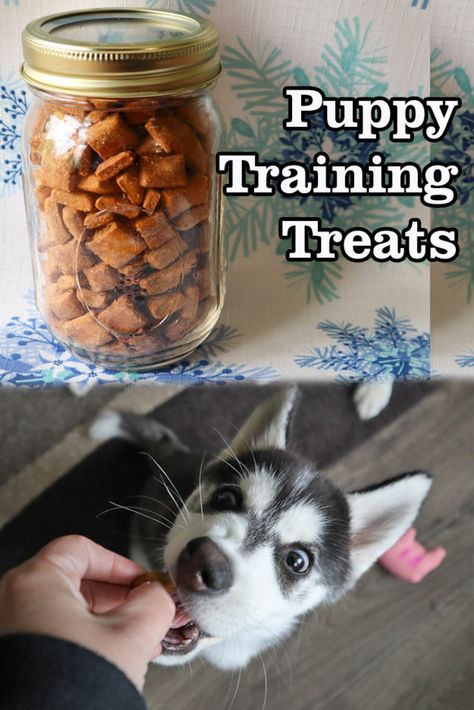 Puppy Training Treats | Homemade Dog Treats - Gone to the Snow Dogs | Siberian Husky Love Homemade Dog Treats For Small Dogs, Mini Dog Treat Recipes, Puppy Training Treats Homemade, Homemade Dog Treats For Shih Tzu, Mini Dog Treats Homemade, How To Make Puppy Treats, Diy Puppy Training Treats, High Value Dog Treats Training, Shelf Stable Dog Treats