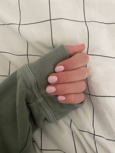 Gel Nails Short Solid Color, Laminette Short Nail, Gel Nail Light Pink, Short Plain Nails Gel, Light Color Short Nails, Short Matte Pink Nails, Light Pink Nails Natural Nail, Short Light Color Nails, Round Short Natural Nails