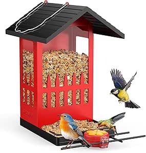 Metal Bird Feeders, Black Oil Sunflower Seeds, Wild Bird Feeders, Hanging Bird Feeders, Bird Gif, Bird Food, Humming Bird Feeders, Metal Birds, How To Attract Hummingbirds