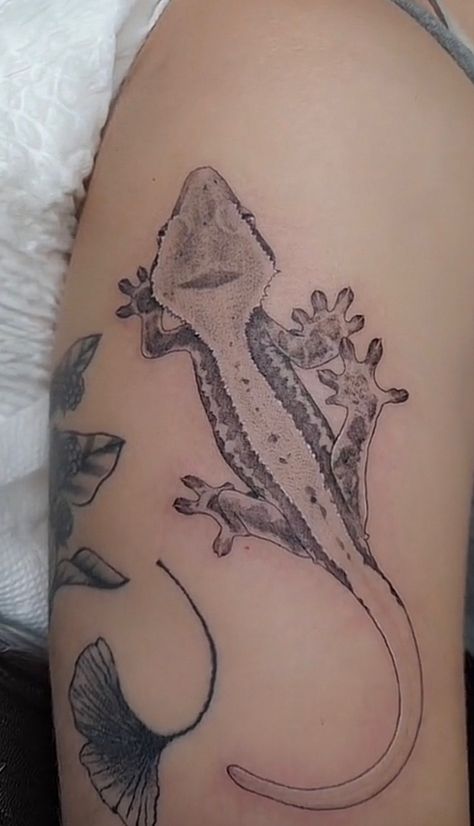 Gargoyle Gecko Tattoo, Reptile Tattoo Sleeve, Crested Gecko Tattoo Ideas, Naturistic Tattoos, Crested Gecko Art, Reptile Tattoo Ideas, Crested Gecko Tattoo, Animal Skeleton Tattoo, Leopard Gecko Tattoo