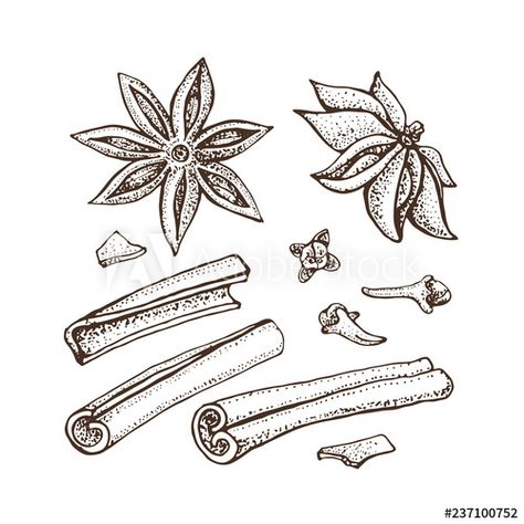 Cinnamon Tattoo Ideas, Vanilla Bean Tattoo, Star Anise Drawing, Star Anise Tattoo, Cinnamon Tattoo, Salt Tattoo, Lil Tattoo, Sketch Tattoos, Stick Tattoo