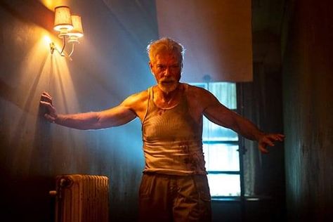 Dont Breathe Movie, Breathe Movie, Don't Breathe, Stephen Lang, Ghost House, Glenn Close, Hugh Grant, Best Horror Movies, Aubrey Plaza