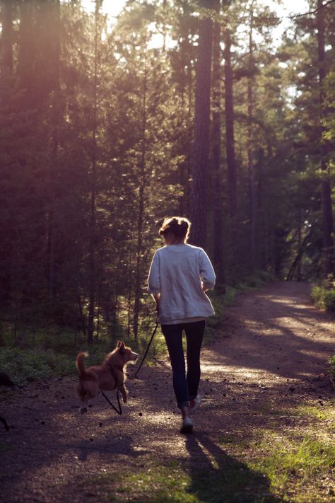 Early Morning Jog Aesthetic, Early Morning Dog Walk, Early Morning Walks Aesthetic, Walking Asethic, Morning Jogging Aesthetic, Walk Aesthetic Morning, Morning Walk Aesthetic, Morning Walks Aesthetic, Early Morning Aesthetic