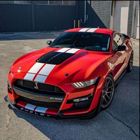 Shelby Truck, Fort Mustang, Mustang Shelby Gt 500, Mustang Shelby Cobra, Shelby Gt 500, Muscle Cars Mustang, Luxury Cars Audi, Gt 500, R35 Gtr