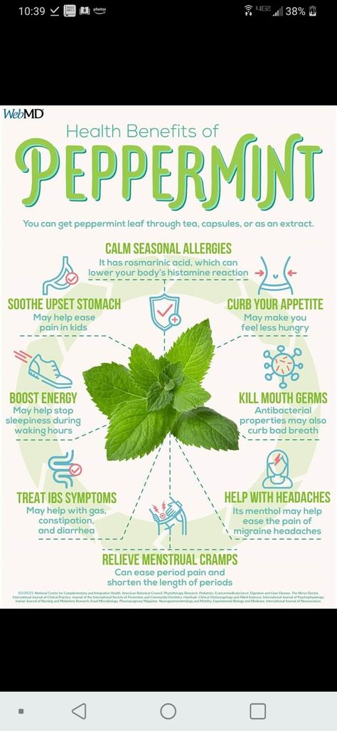 Treating Ibs, Help Constipation, Seasonal Allergies, Period Pain, Peppermint Leaves, Migraine Headaches, Upset Stomach, Menstrual Cramps, Boost Energy