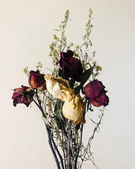 Zaffre Aesthetic, Withered Rose Drawing, Withered Flower Tattoo, Withered Flower Aesthetic, Withered Rose Aesthetic, Wilted Flowers Aesthetic, Cottegcore Aesthetic, Alma Core, Decay Aesthetic