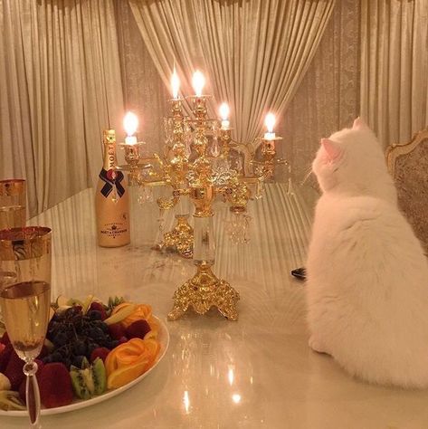 White Cat, Candles, Fruit, Gold, White