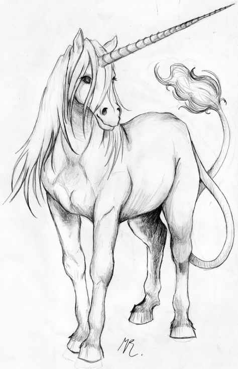 I felt like drawing a horse. And cause it looked so boring, i made it Unicorn. Simple, isn't it. Unicorn Unicorn Art Drawing, Unicorn Sketch, Unicorn Artwork, Unicorn Drawing, Unicorn Pictures, Fantasy Drawings, Unicorn Coloring Pages, Unicorn Art, Horse Drawings