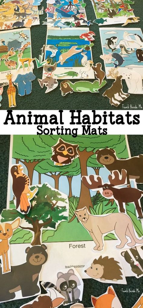 Aquarium Trip, Habitats Projects, Animal Habitat, Sorting Mats, Kindergarten Science, Play Mats, Dollar Sign, Animal Activities, Preschool Science