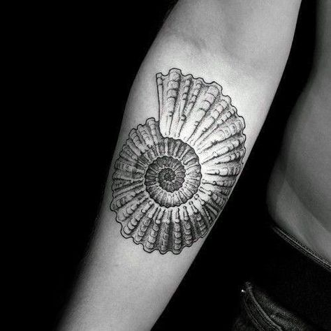 40 Ammonite Tattoo Designs For Men - Fossil Ink Ideas Nautilus Tattoo, Sea Life Tattoos, Marine Tattoo, Shell Tattoo, Rare Tattoos, Mama Tattoo, Seashell Tattoos, Shell Tattoos, Special Tattoos